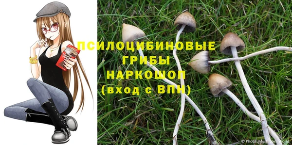 круглые Абаза
