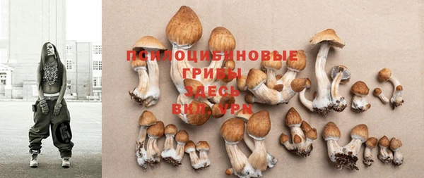 круглые Абаза