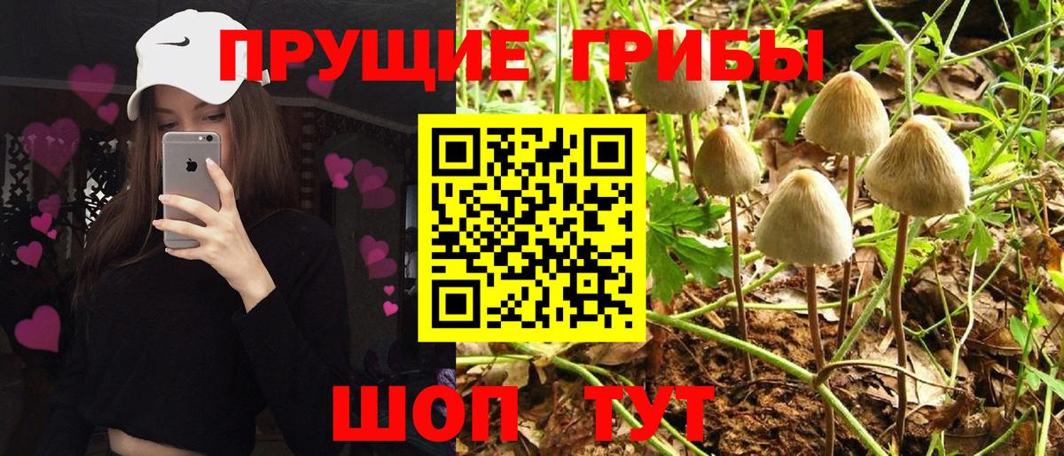 Магнитогорск  Псилоцибиновые грибы GOLDEN TEACHER  Вход с VPN 